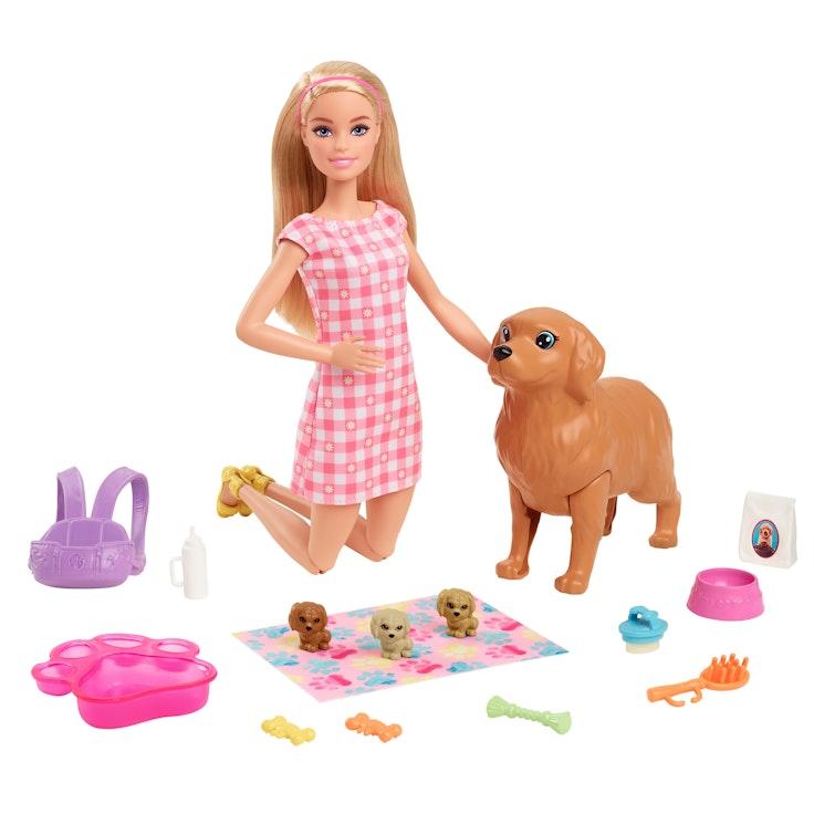 Barbie-muotinukke ja koiranpennut leikkisetti