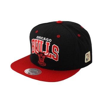 Mitchell & Ness joukkue logo lippis