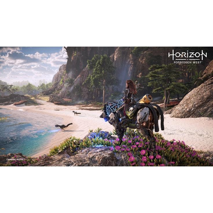 Horizon Forbidden West PS4-peli